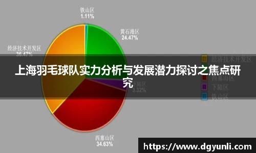 上海羽毛球队实力分析与发展潜力探讨之焦点研究