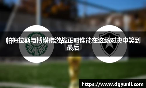 帕梅拉斯与博塔佛激战正酣谁能在这场对决中笑到最后