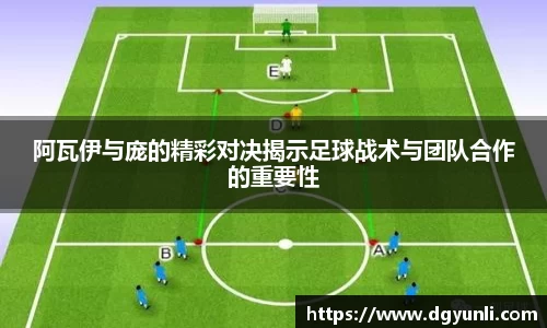 77体育电脑版