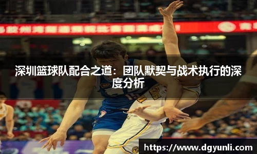 77体育app下载官网