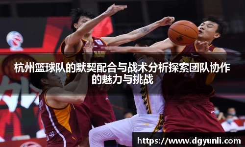 杭州篮球队的默契配合与战术分析探索团队协作的魅力与挑战