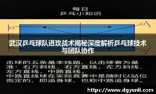 77体育app下载官网