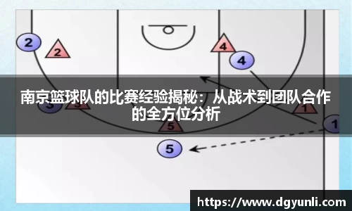 77体育app下载官网